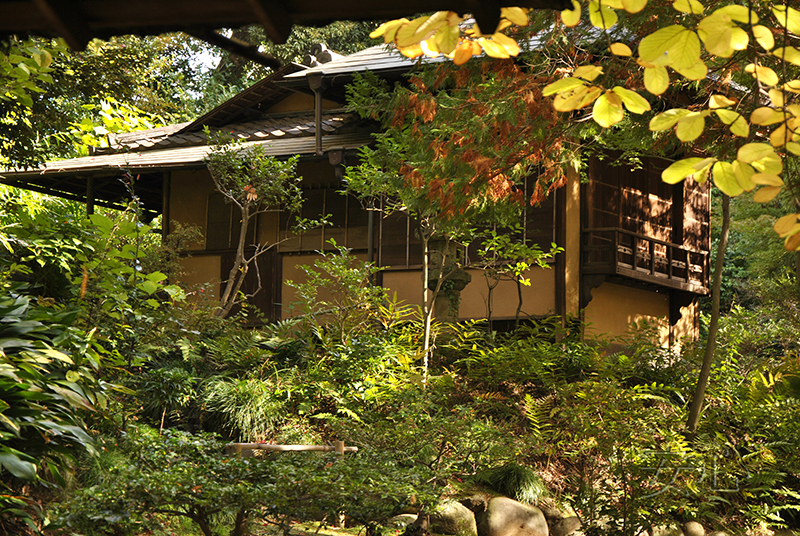 Kyu-Furukawa Gardens