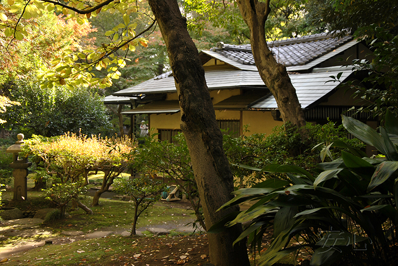 Kyu-Furukawa Gardens