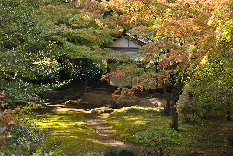 Kyu-Furukawa Gardens