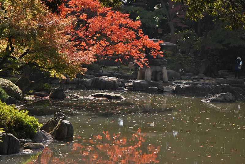 Kyu-Furukawa Gardens