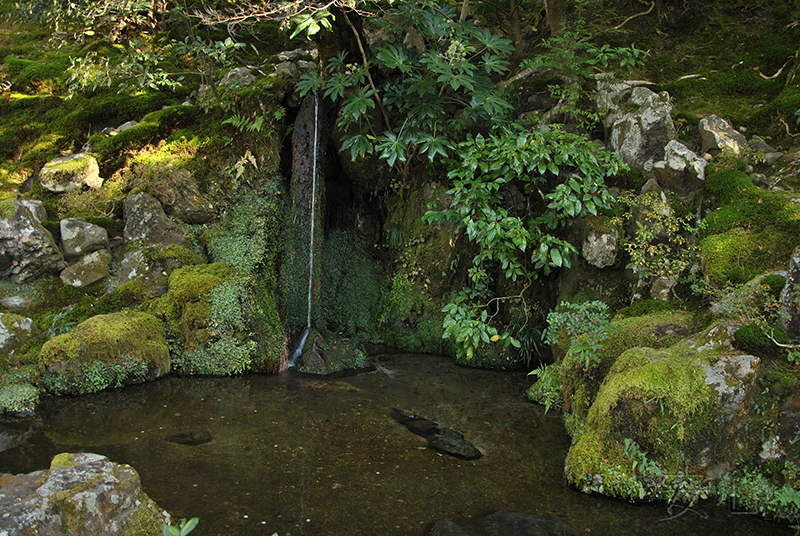   - (Ginkakuji)