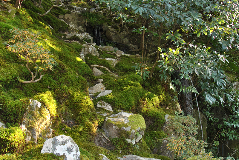 Ginkaku-ji Temple Garden