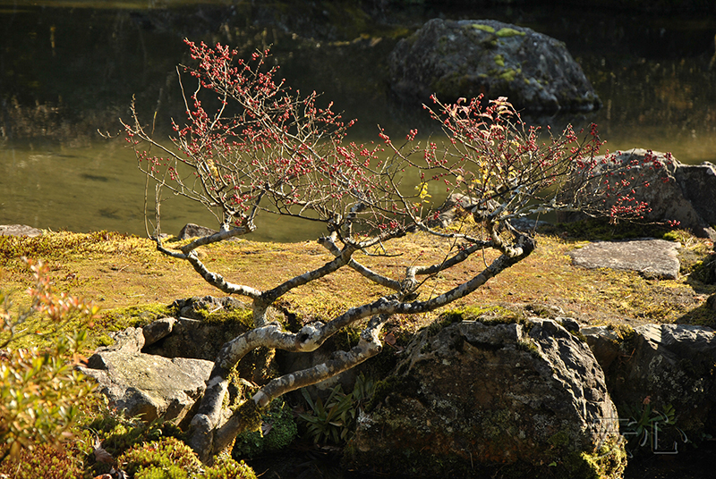 Ginkaku-ji Temple Garden