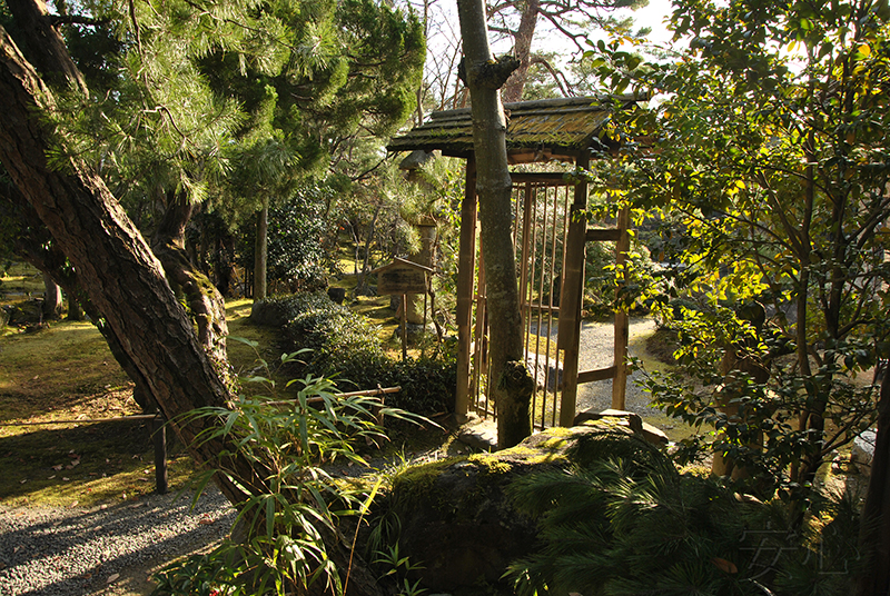 Hashimoto Kansetsu Garden