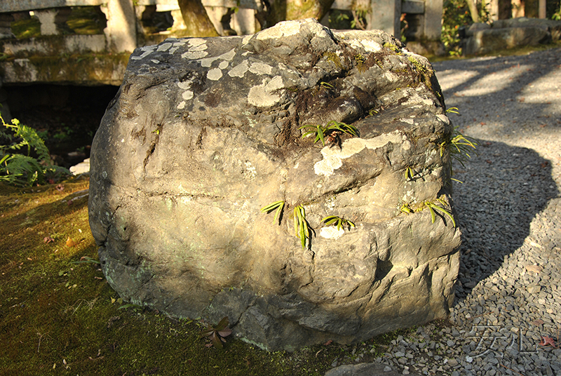 Hashimoto Kansetsu Garden