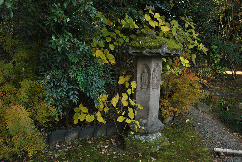 Hashimoto Kansetsu Garden