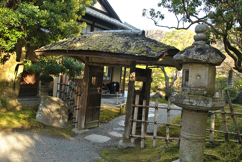 Hashimoto Kansetsu Garden