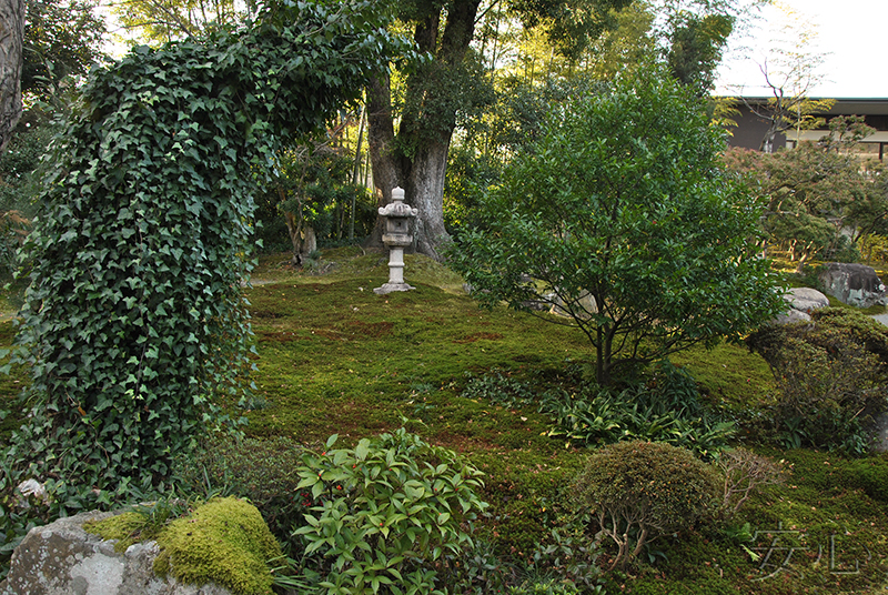 Hashimoto Kansetsu Garden