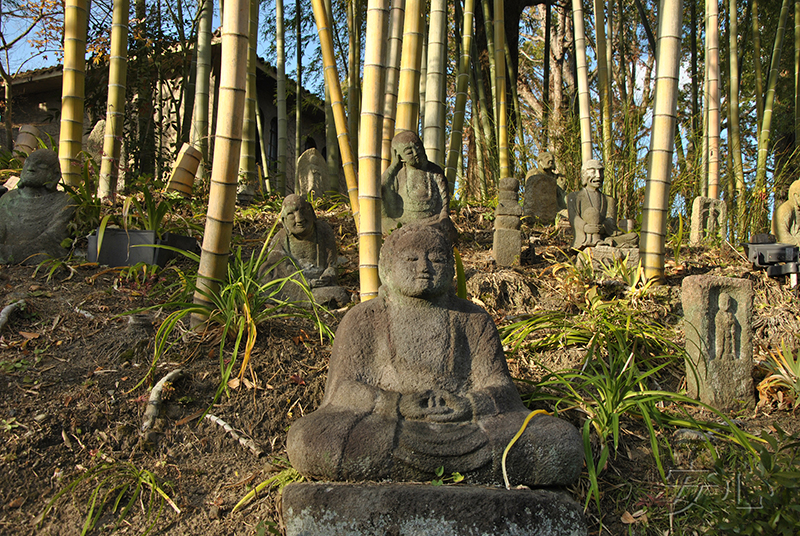 Hashimoto Kansetsu Garden