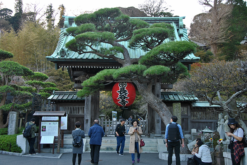 The garden of Hasedera Temple