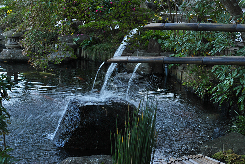 The garden of Hasedera Temple