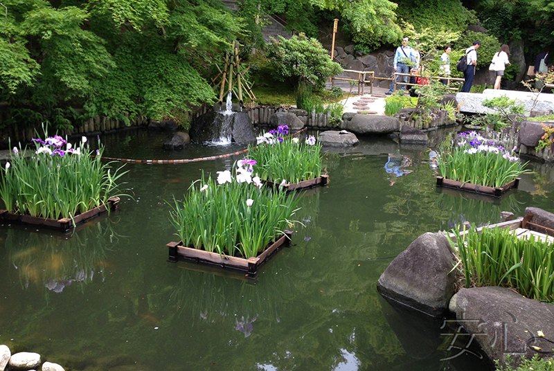 The garden of Hasedera Temple