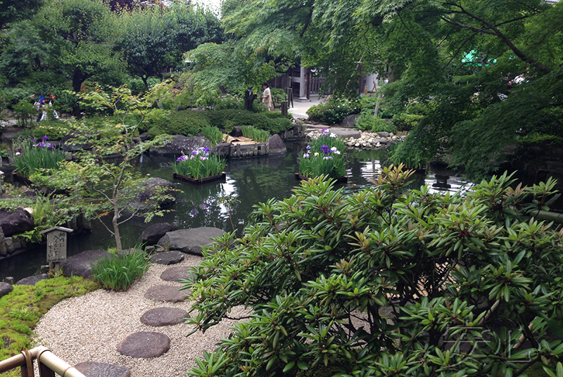 The garden of Hasedera Temple