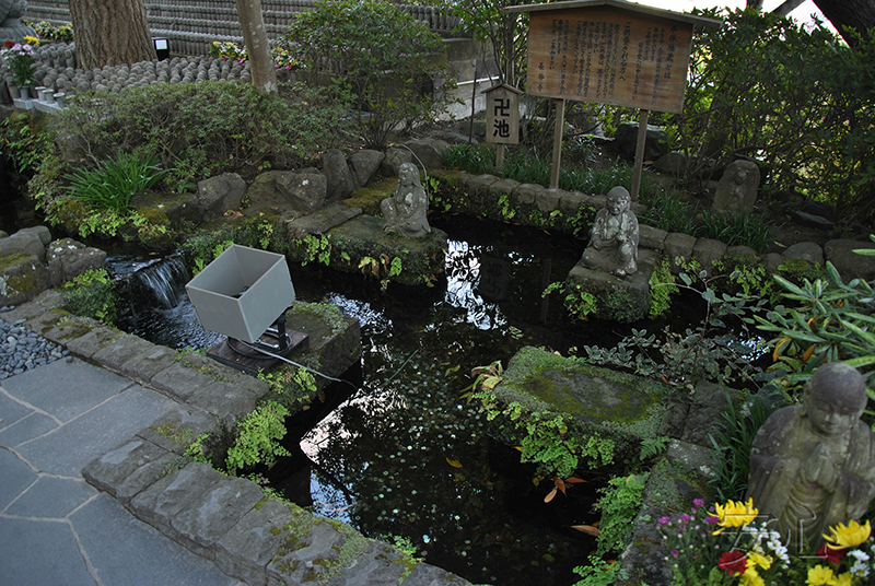 The garden of Hasedera Temple