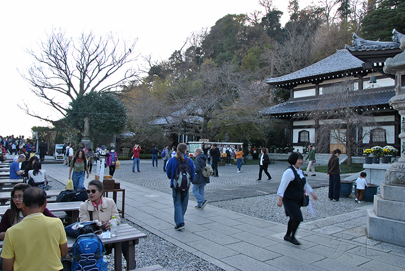 The garden of Hasedera Temple