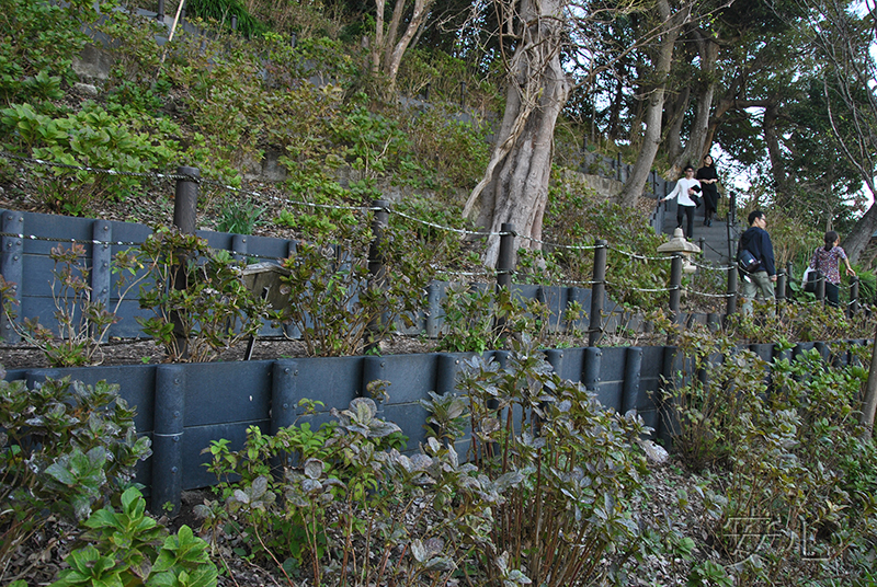 The garden of Hasedera Temple