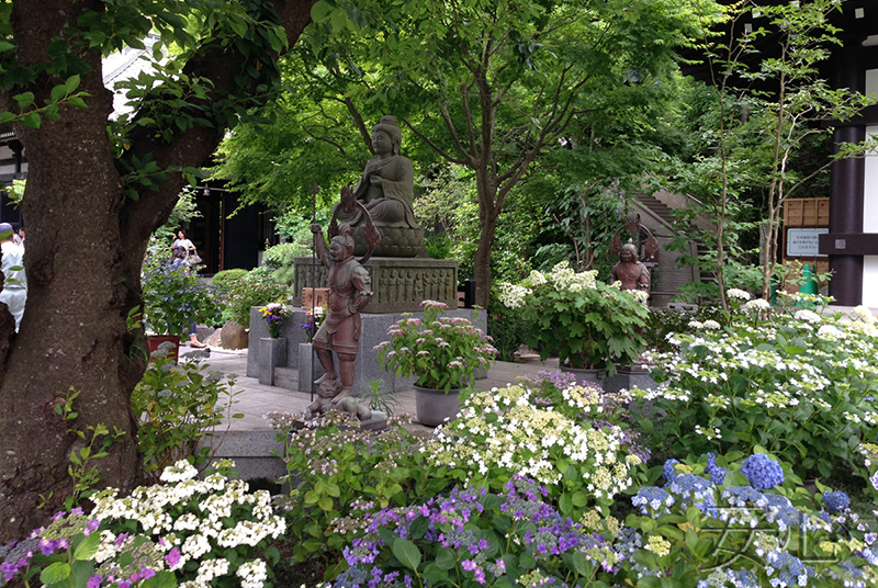 The garden of Hasedera Temple