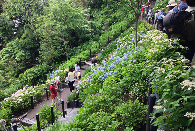 The garden of Hasedera Temple