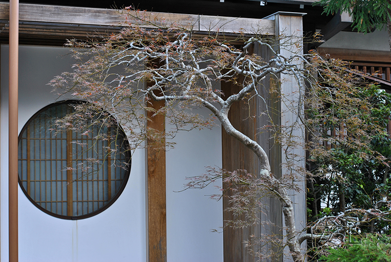 The garden of Hasedera Temple