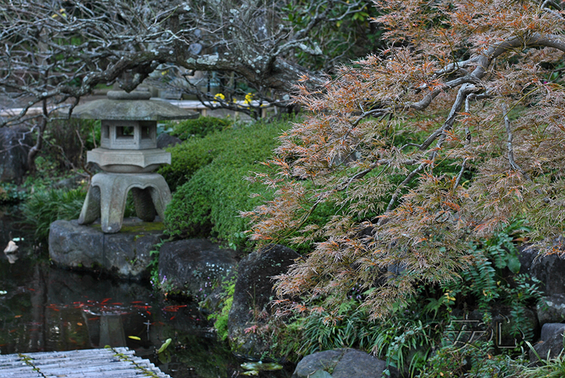 The garden of Hasedera Temple