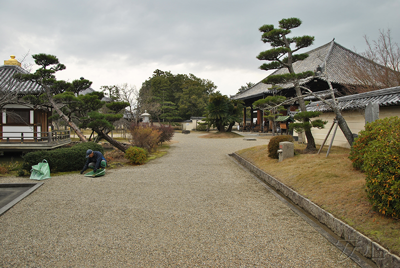 Hokke-ji Temple Garden