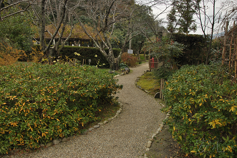 Hokke-ji Temple Garden