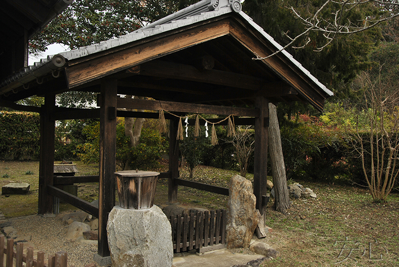 Hokke-ji Temple Garden