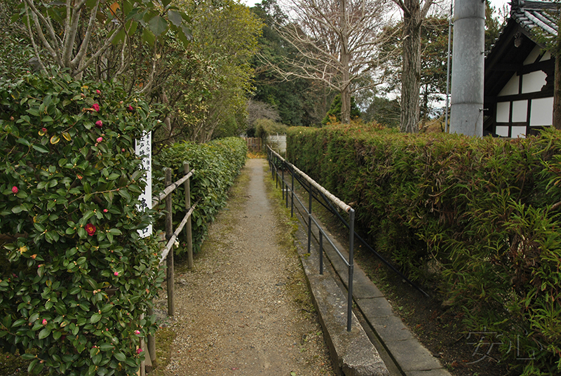 Hokke-ji Temple Garden