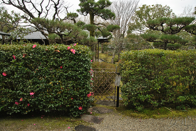 Hokke-ji Temple Garden