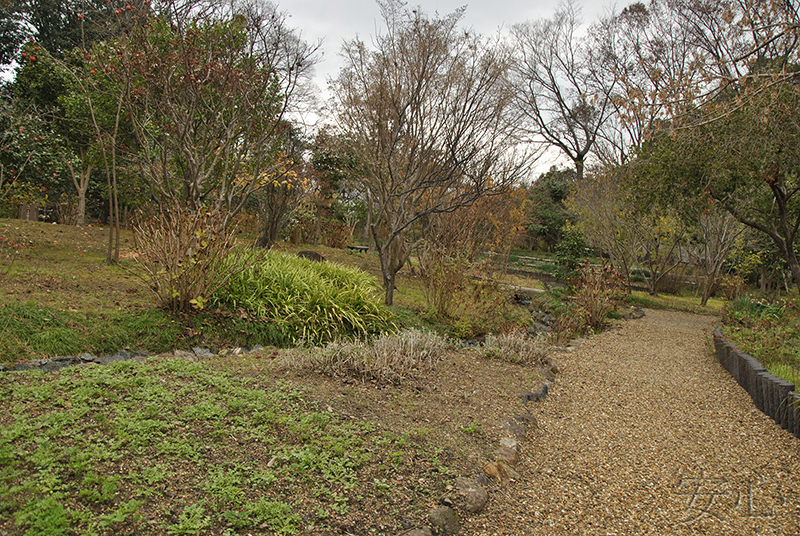 Hokke-ji Temple Garden