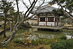 Сад храма Хоккэй-дзи (Hokke-ji), Нара