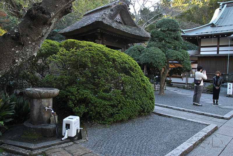 Hokoku-ji temple garden