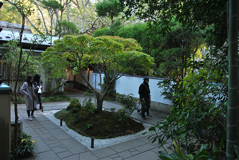 Hokoku-ji temple garden