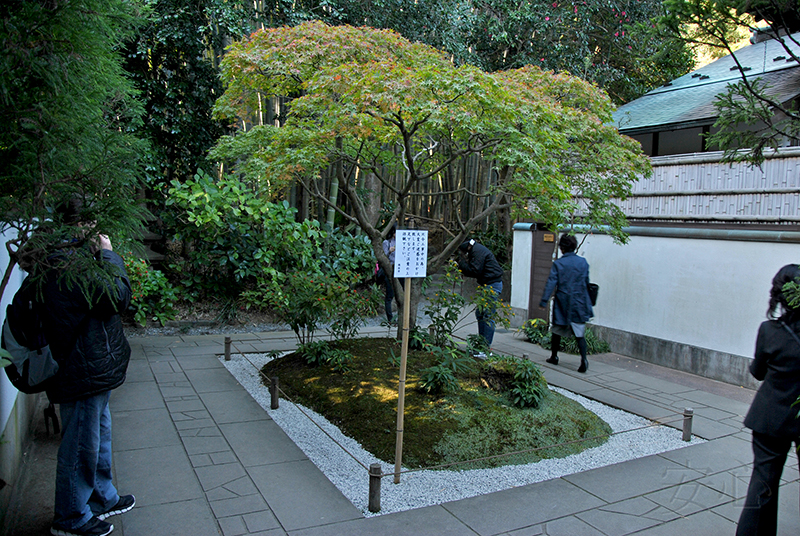 Hokoku-ji temple garden