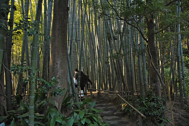 Hokoku-ji temple garden