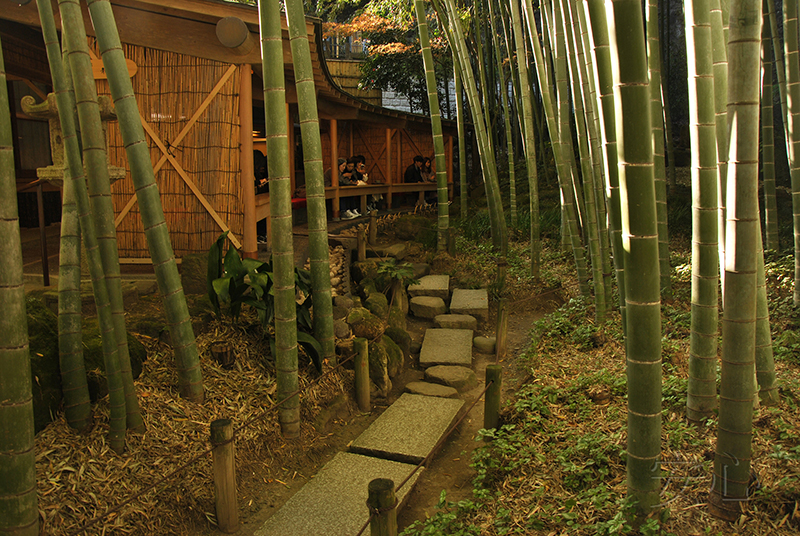 Hokoku-ji temple garden