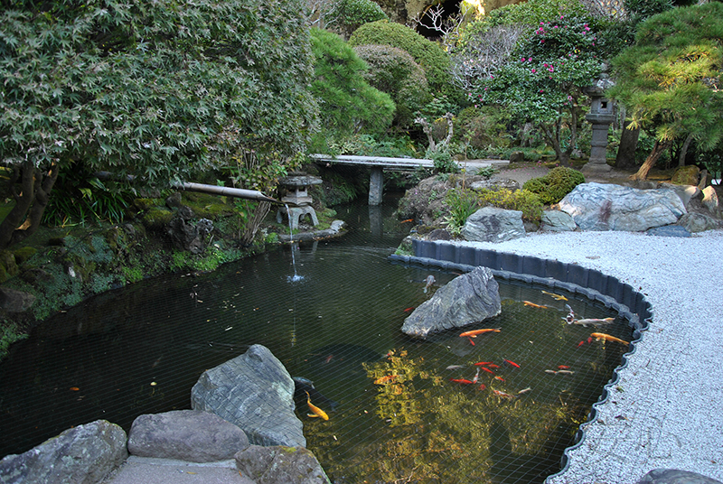 Hokoku-ji temple garden