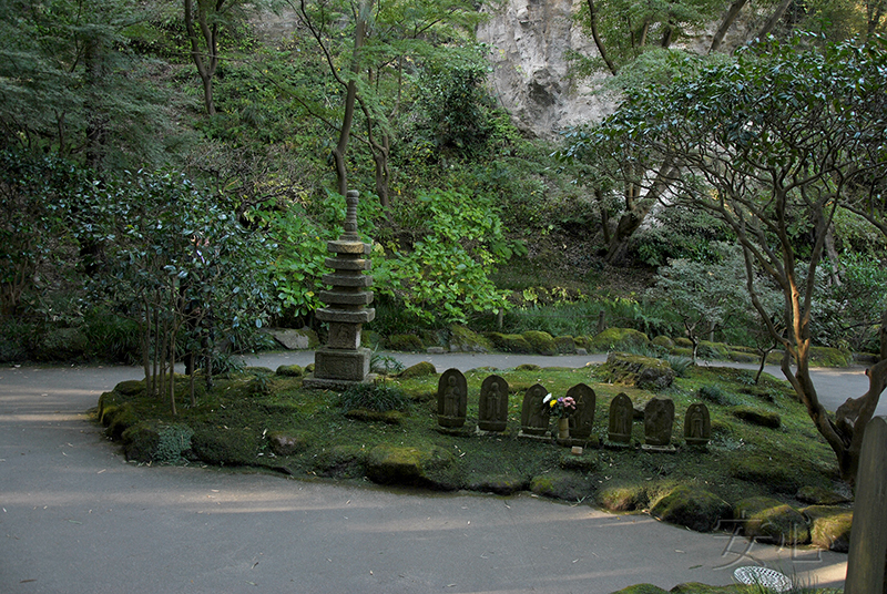 Hokoku-ji temple garden