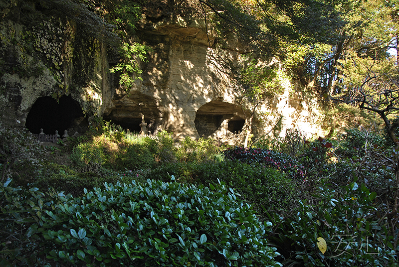 Hokoku-ji temple garden