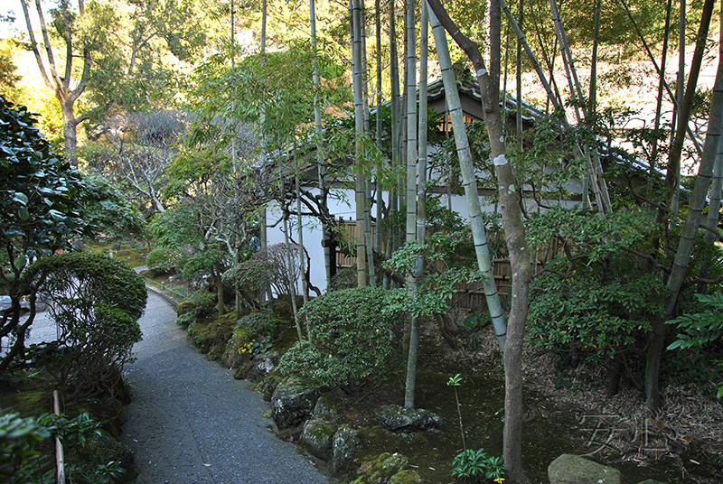 Hokoku-ji temple garden