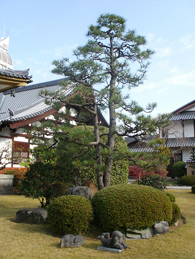 Hotai-ji garden