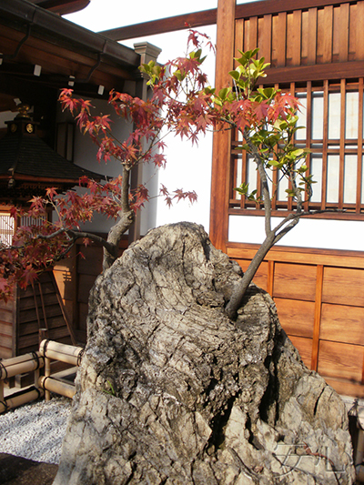 Hotai-ji garden