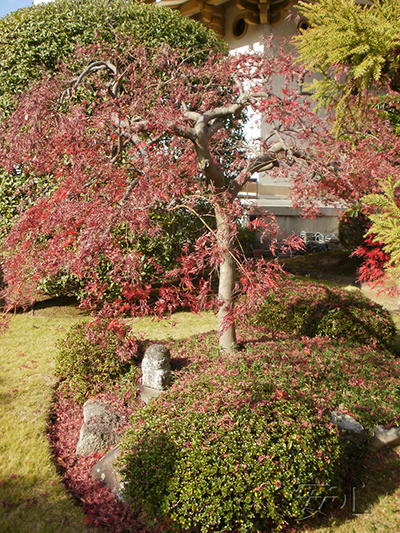 Hotai-ji garden