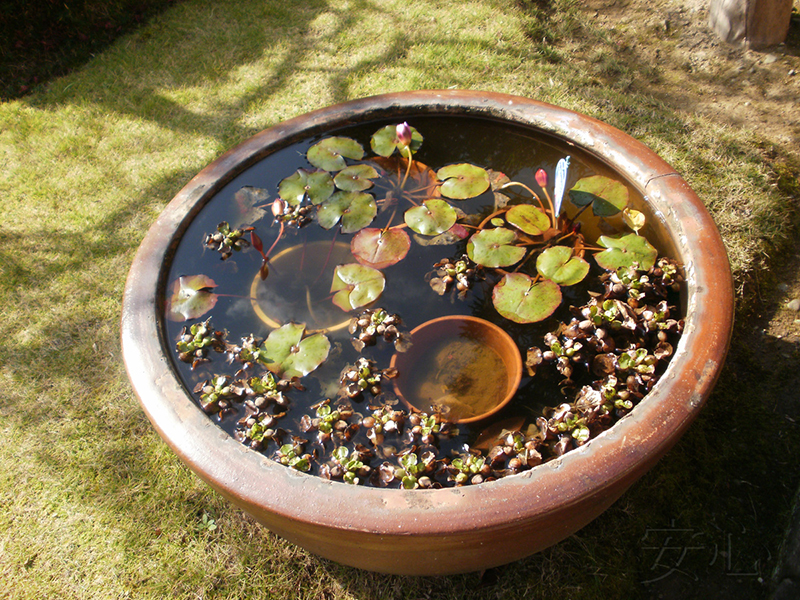 Hotai-ji garden