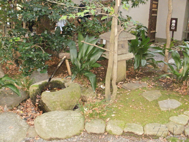 A garden of the hotel "Garden Square"