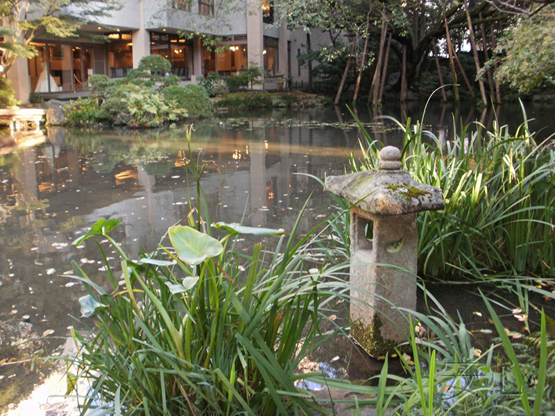A garden of the hotel "Garden Square"