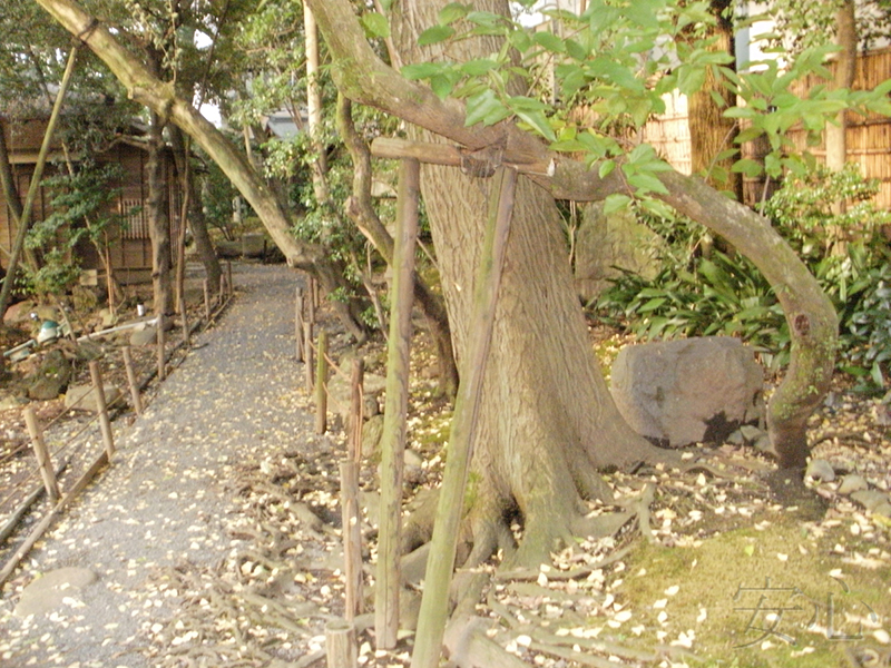 A garden of the hotel "Garden Square"