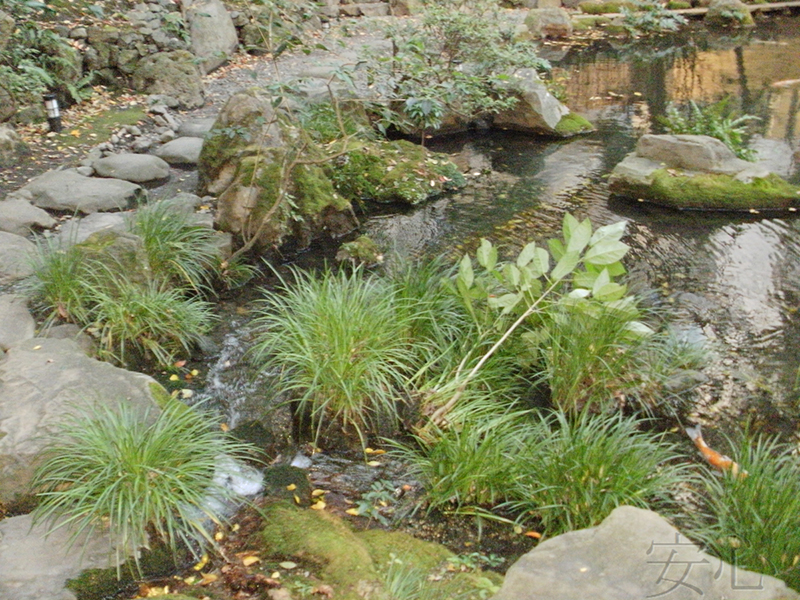 A garden of the hotel "Garden Square"