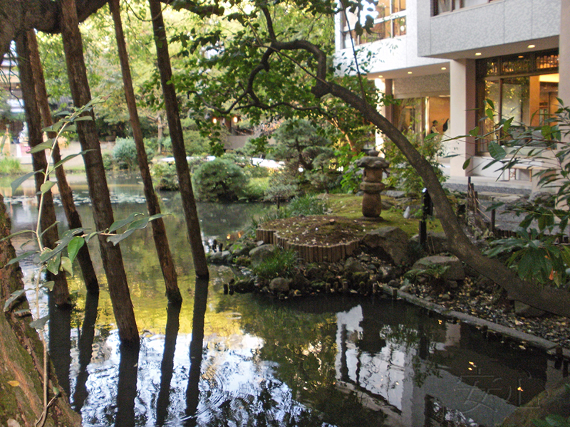 A garden of the hotel "Garden Square"