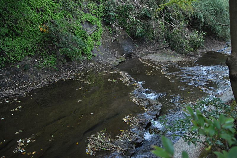 Ichijo Ekan Sanso Garden